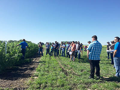 Ag Grow Advantage